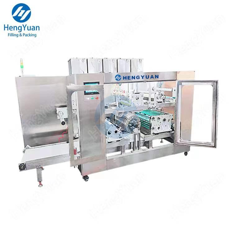 HYSR-100RL Automatic water-sealing pva bead packing machine